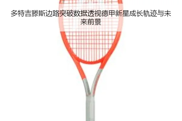img_1781888892654_1006_1_954.jpg